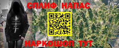 гашишное масло Будённовск